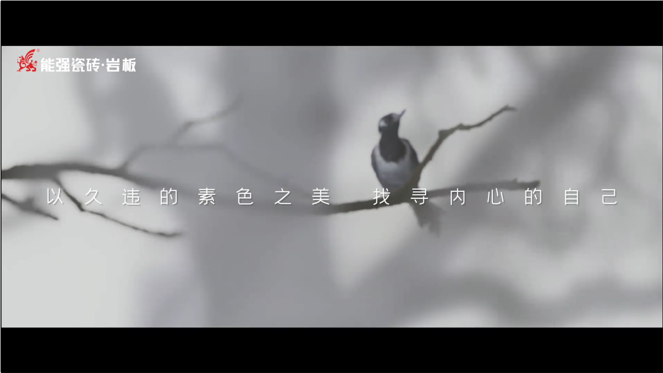 素巖系列 | 以素色之美，找尋內(nèi)心的自己